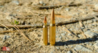 .223 vs. .308 Caliber Comparison - TargetBarn.com