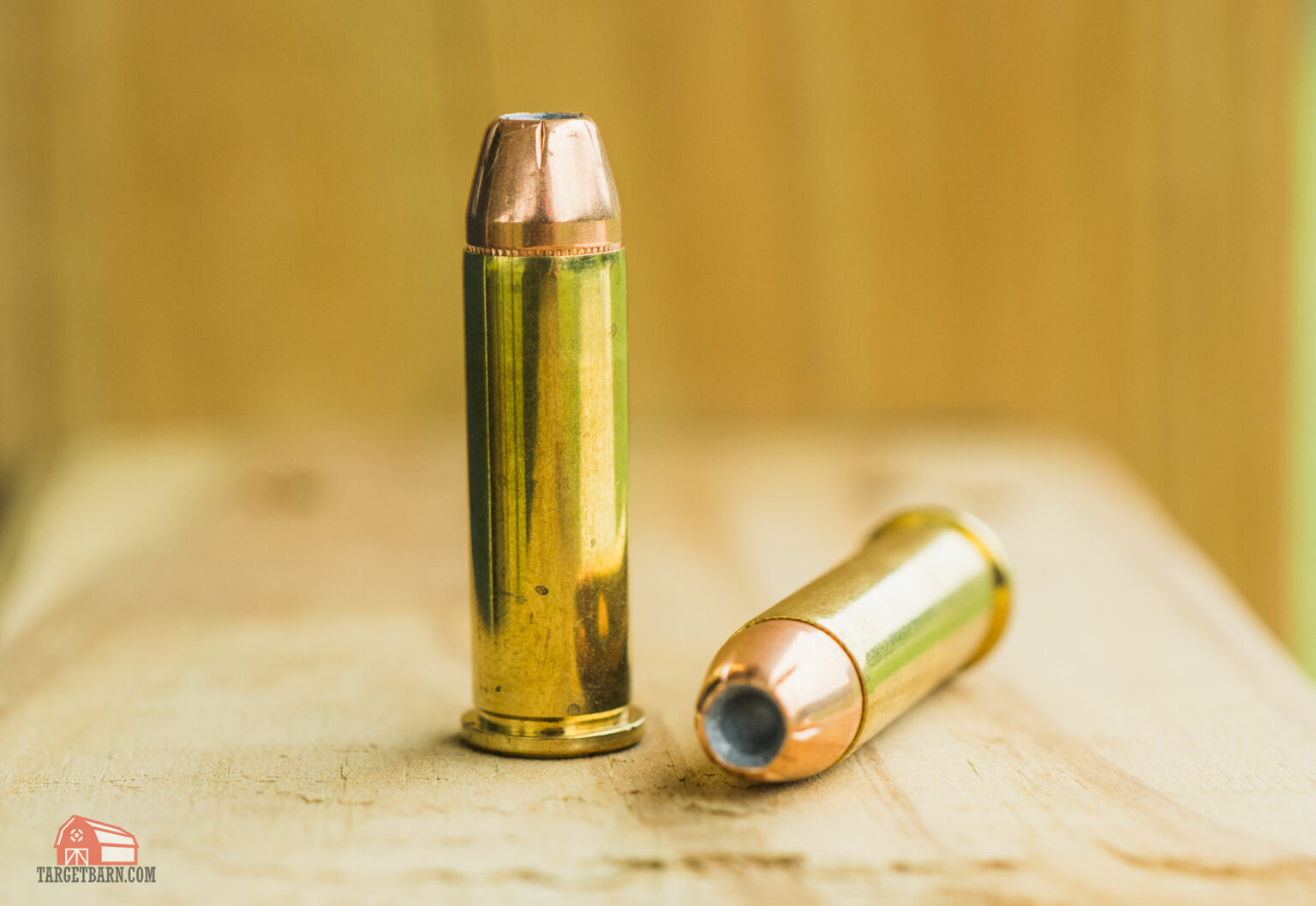 .380 vs. 38 Special - What's the Difference & Which is Better?
