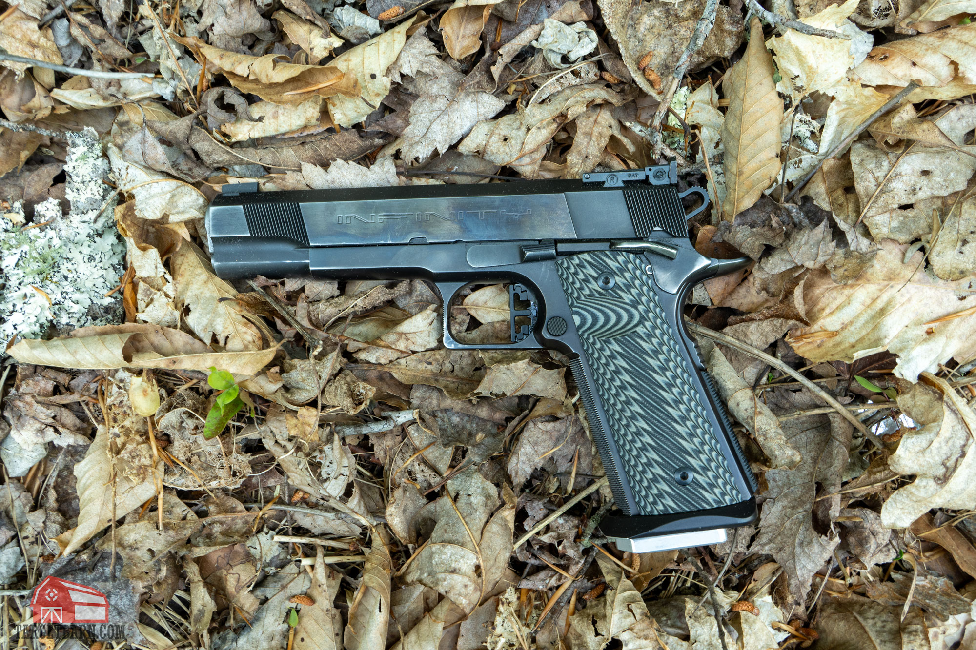 a 1911 pistol chambered ins .40S&W
