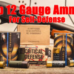 12 gauge ammo options with a shotgun on display