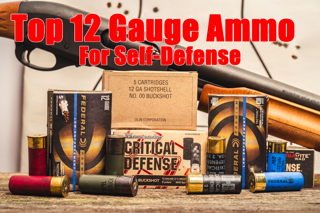 12 gauge ammo options with a shotgun on display