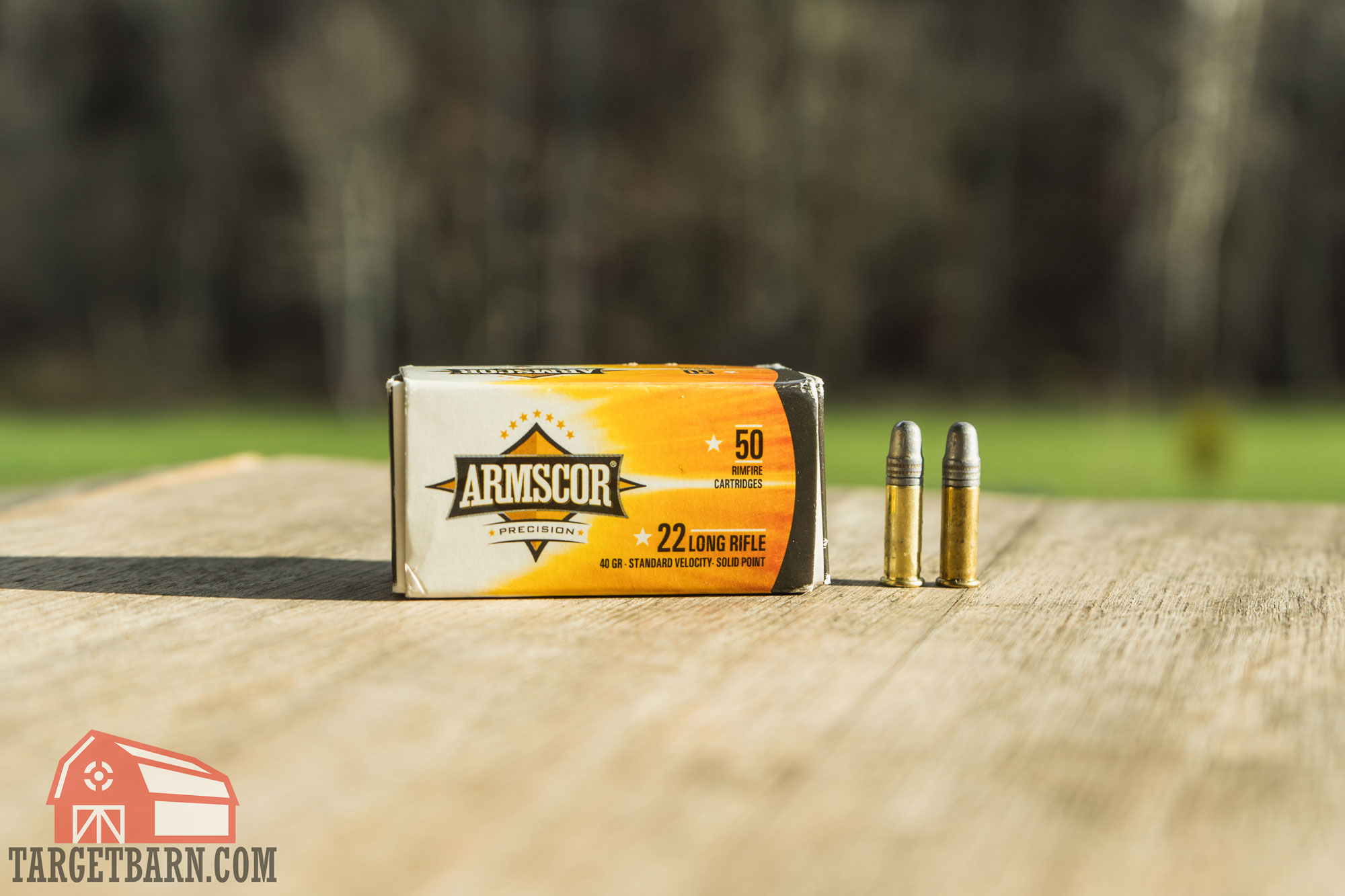 a box and two rounds of armscor .22lr ammo