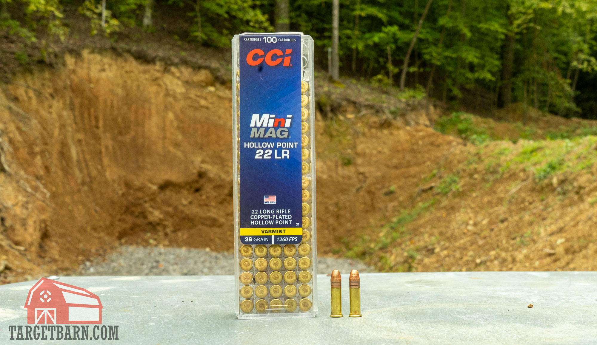 showing a box and two rounds of cci mini mag 22lr at the range as one of the best .22lr ammo for pistols