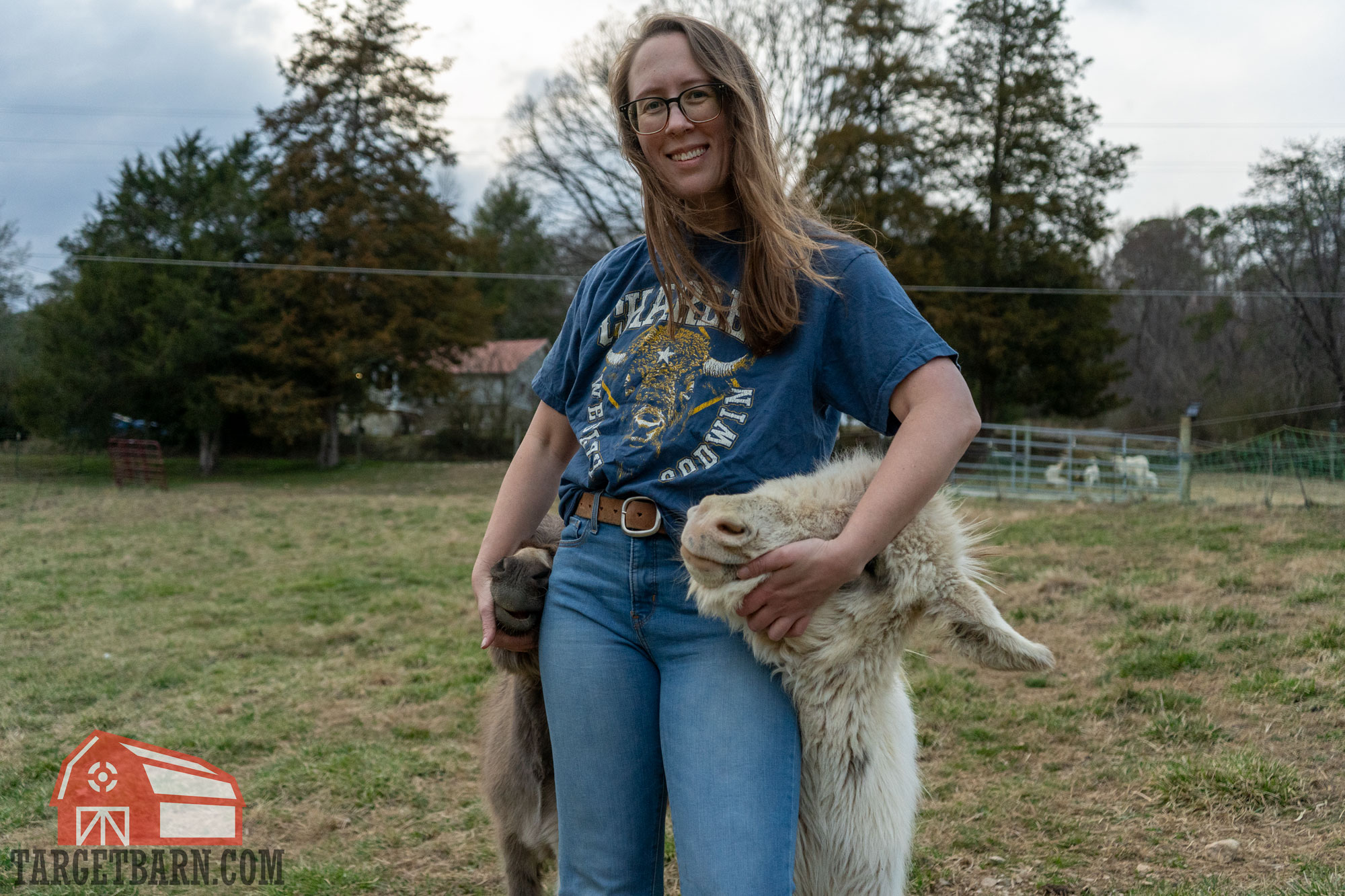 the author concealed carrying with the enigma on the farm with mini donkeys