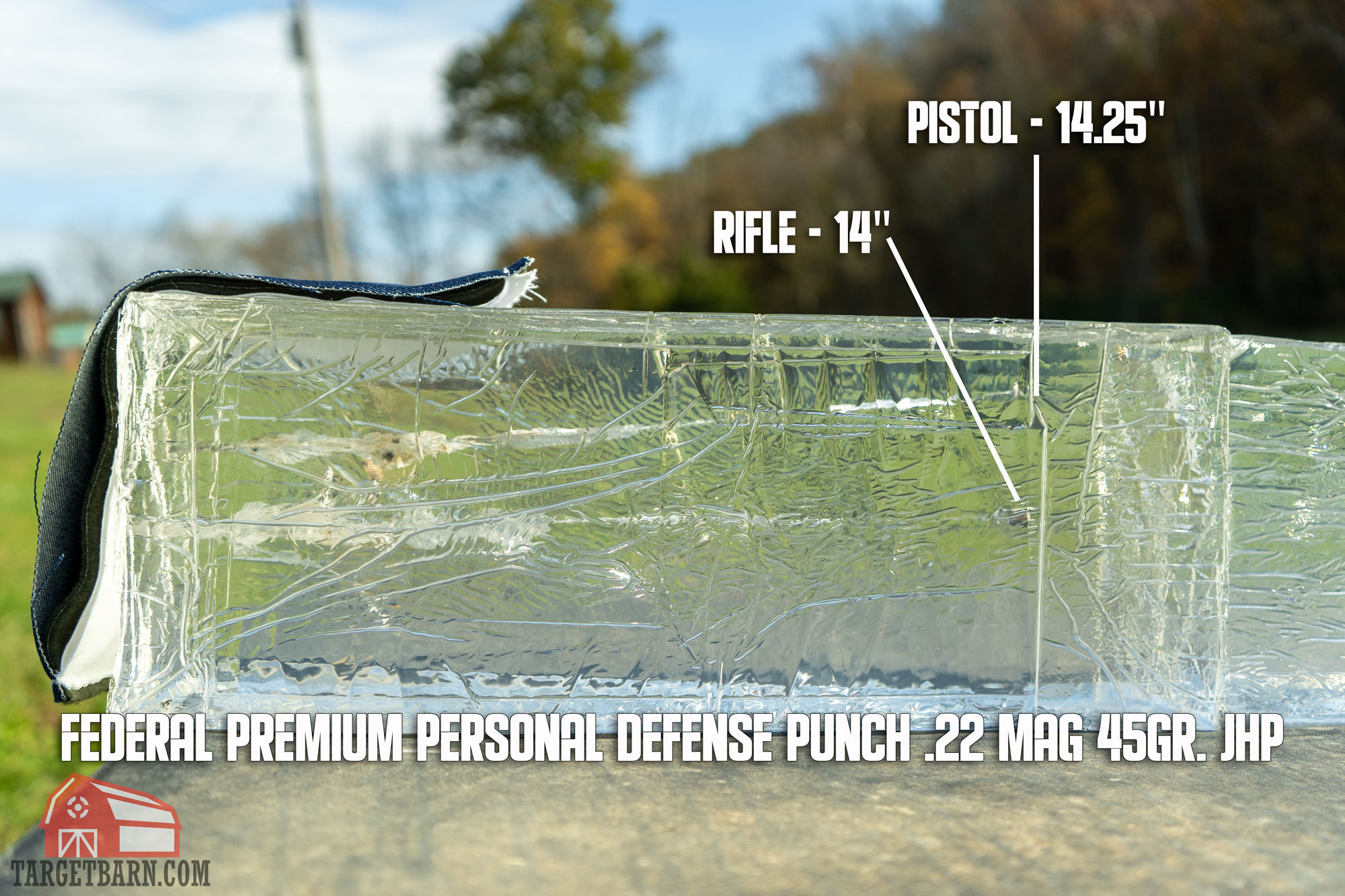 showing the ballistic gel test results of the punch .22 mag