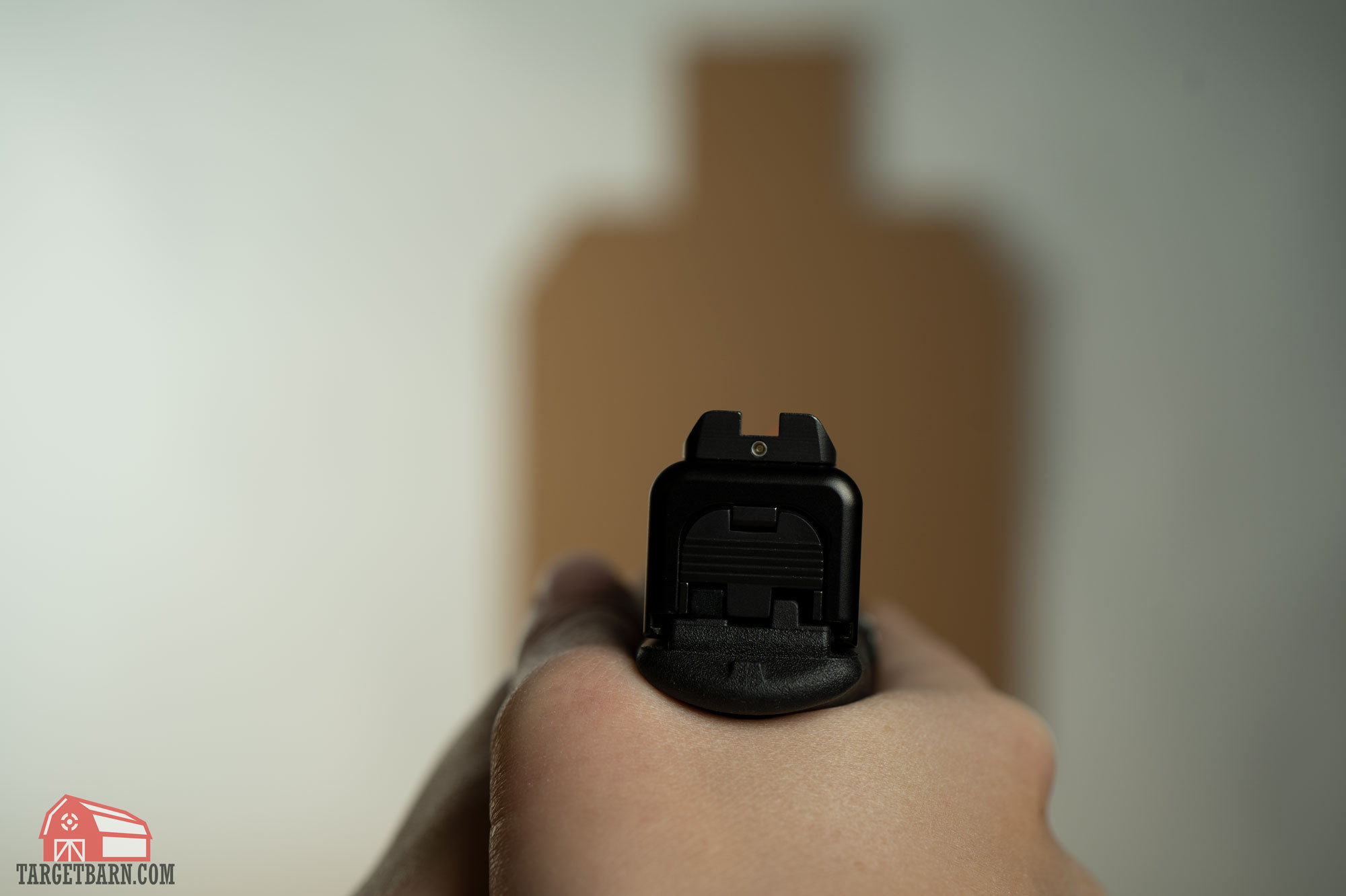 with gross index sight picture, the reference is on the back of the gun