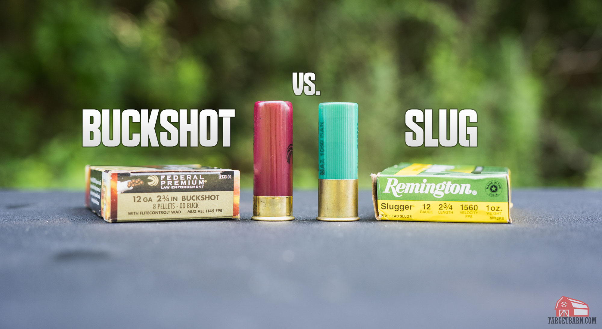 buckshot vs. slug hero image