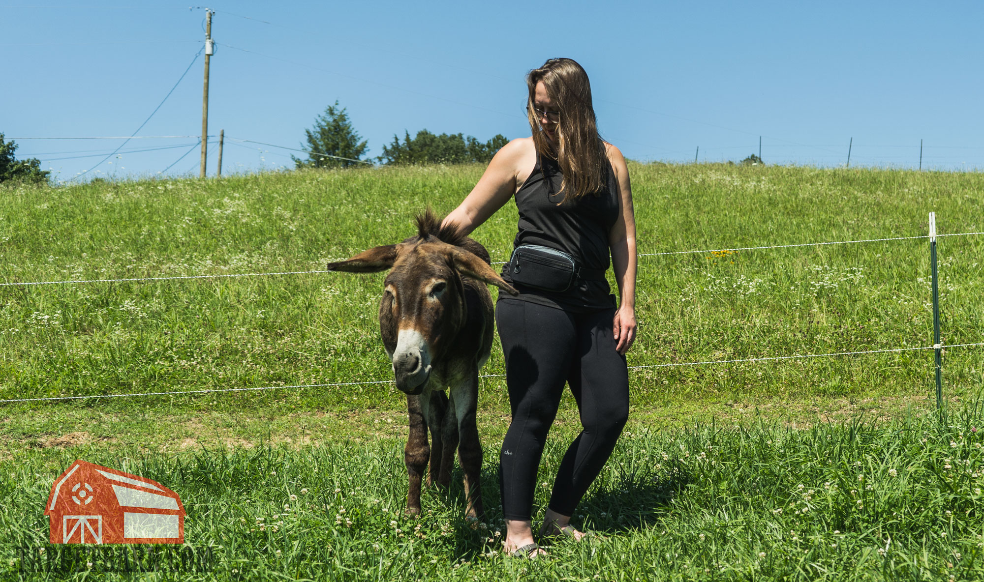 the author wearing a galco fastrax pac and standing next to a donkey