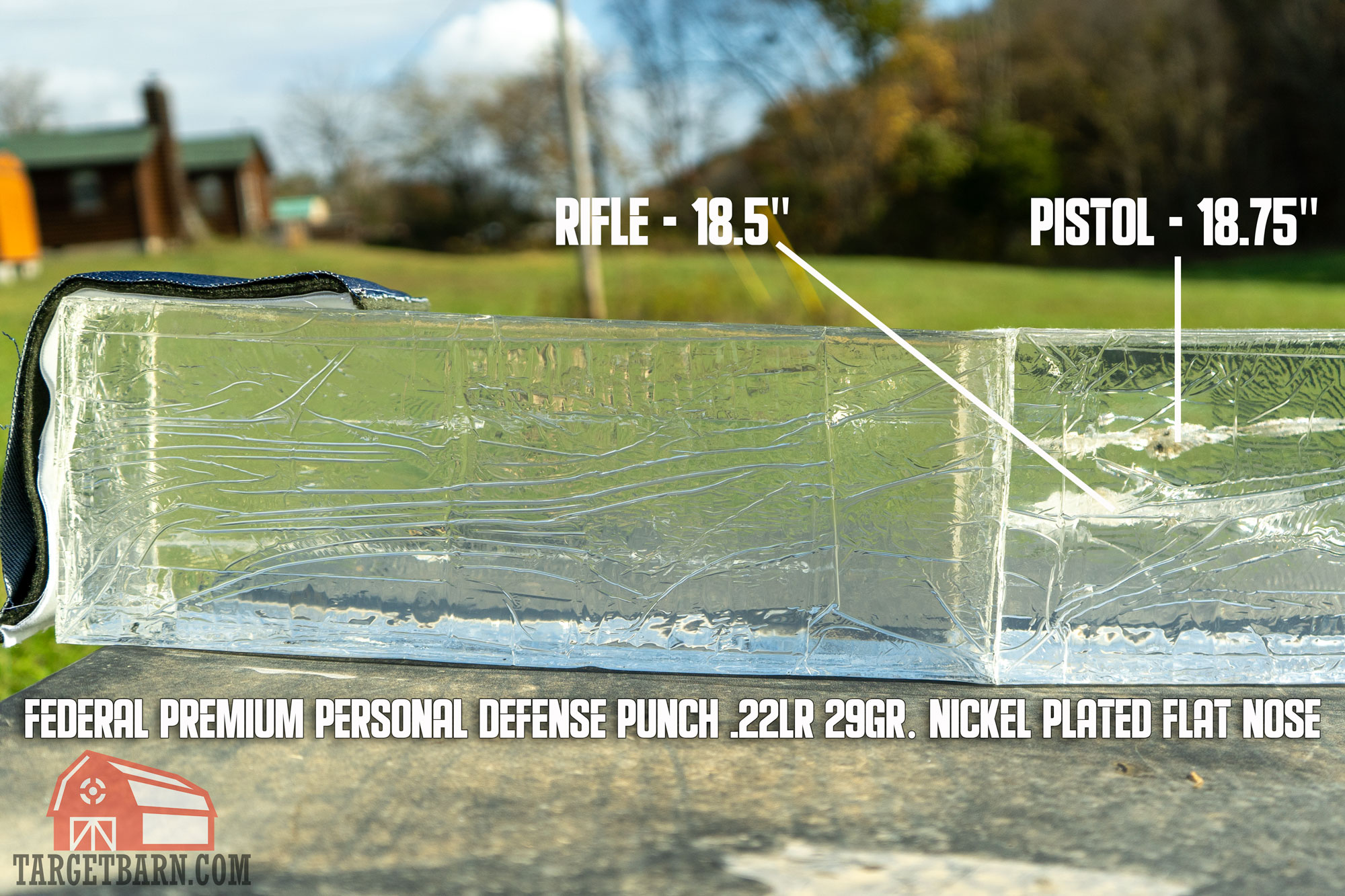 showing the ballistic gel test results of the punch .22lr