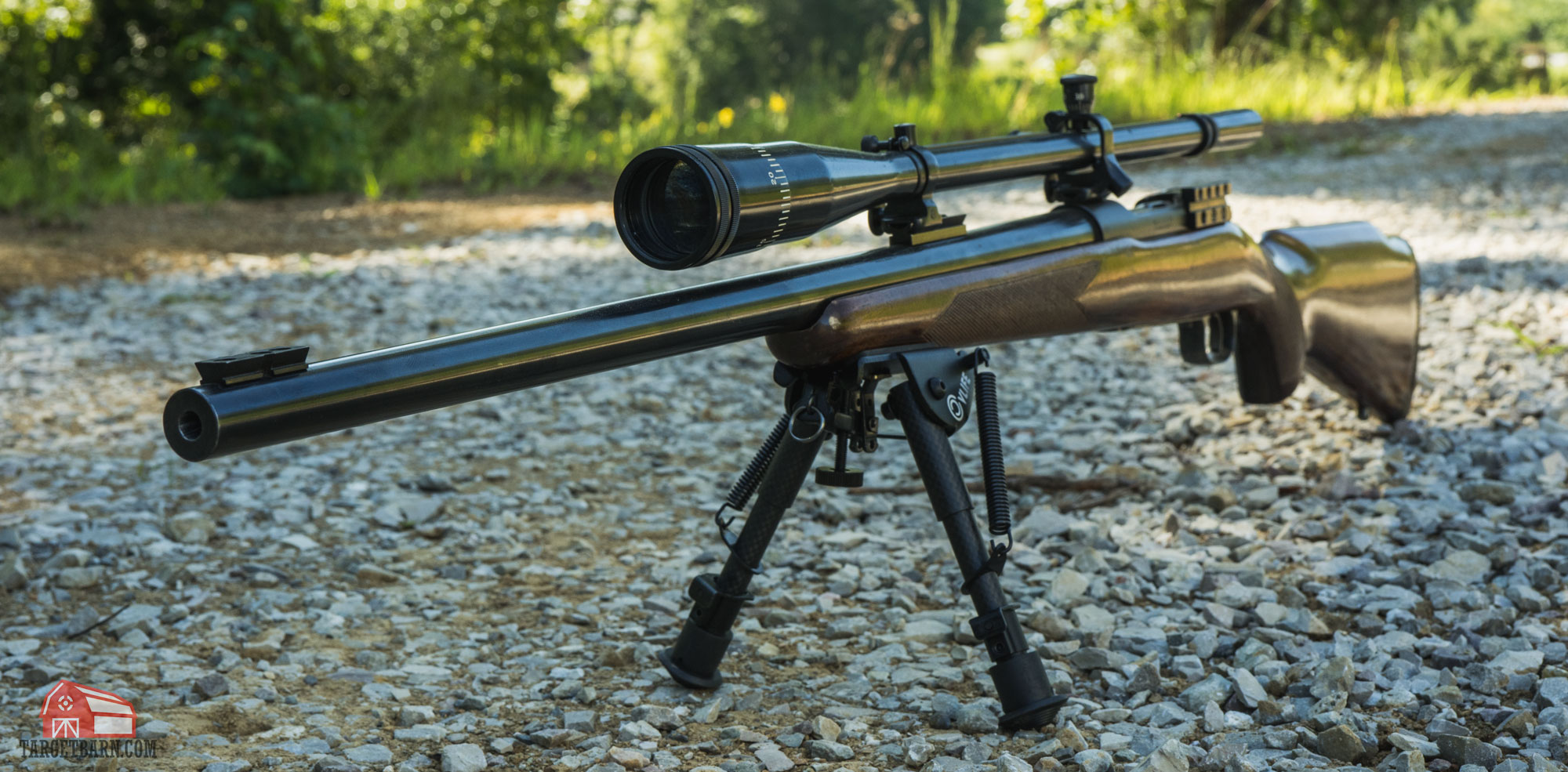 rifle with scope