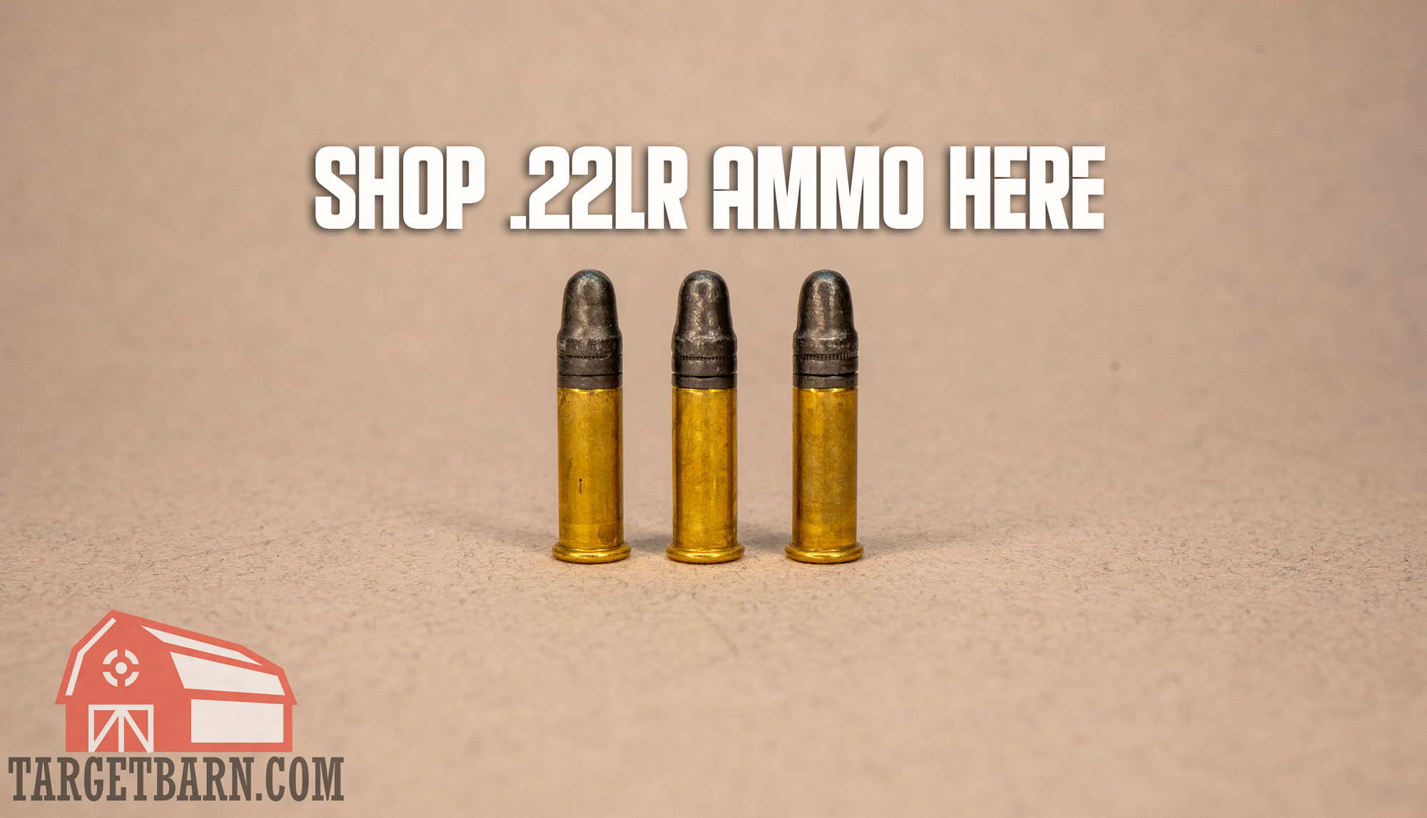 22lr ammo