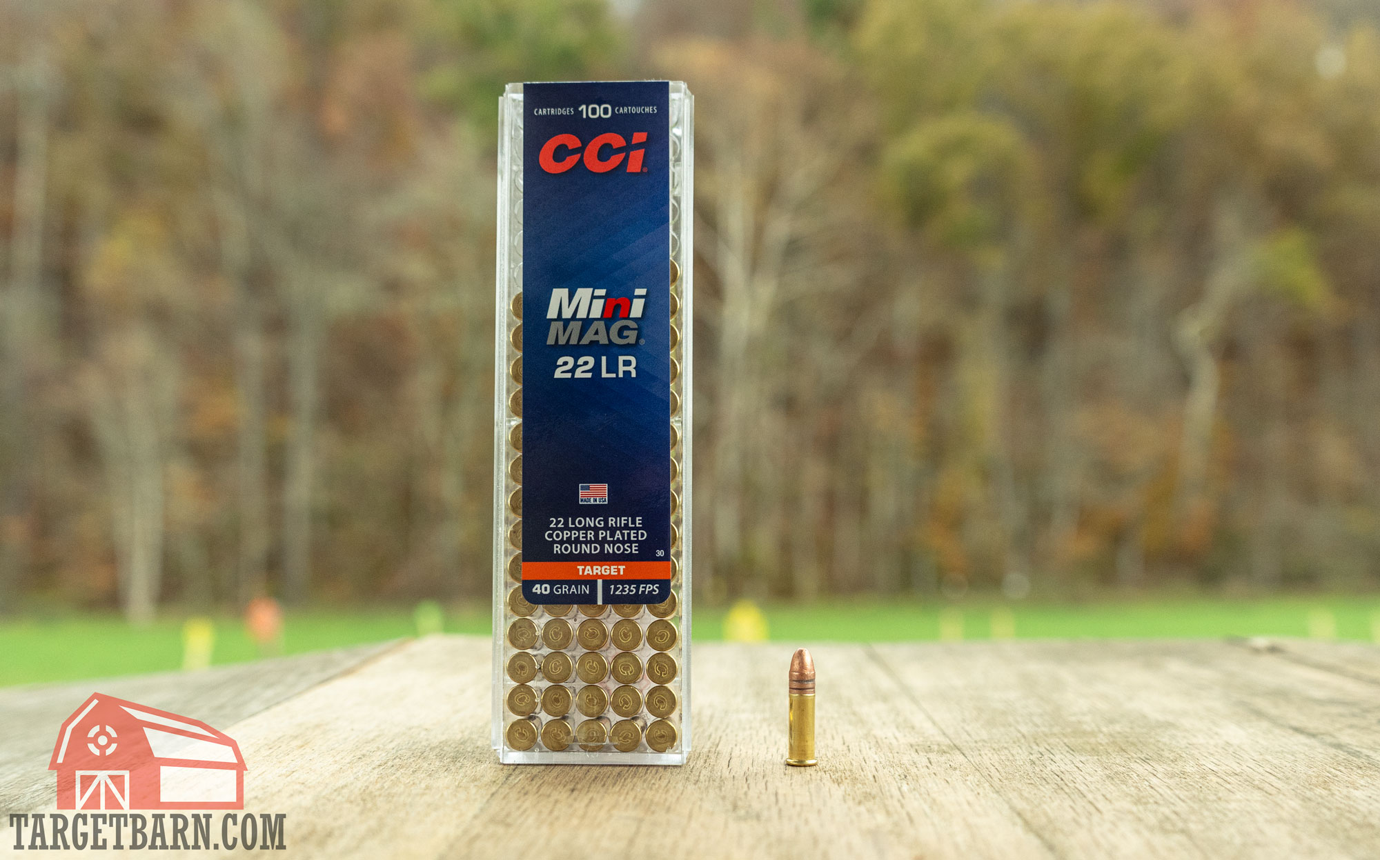 a box and one round of mini-mag target ammo at the range