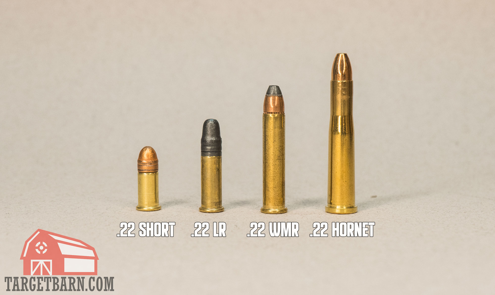 Types of .22 Ammo - The Broad Side