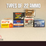 types of 22 ammo hero image