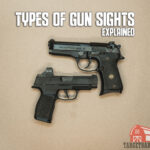 types of gun sights