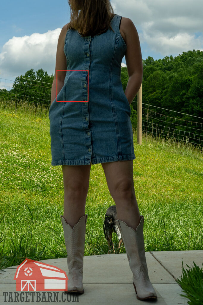 concealing a gun with the vnsh holster in a dress