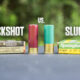 buckshot vs. slug hero image