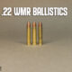 three rounds of 22 wmr and "22 wmrballistics" typed for the hero image